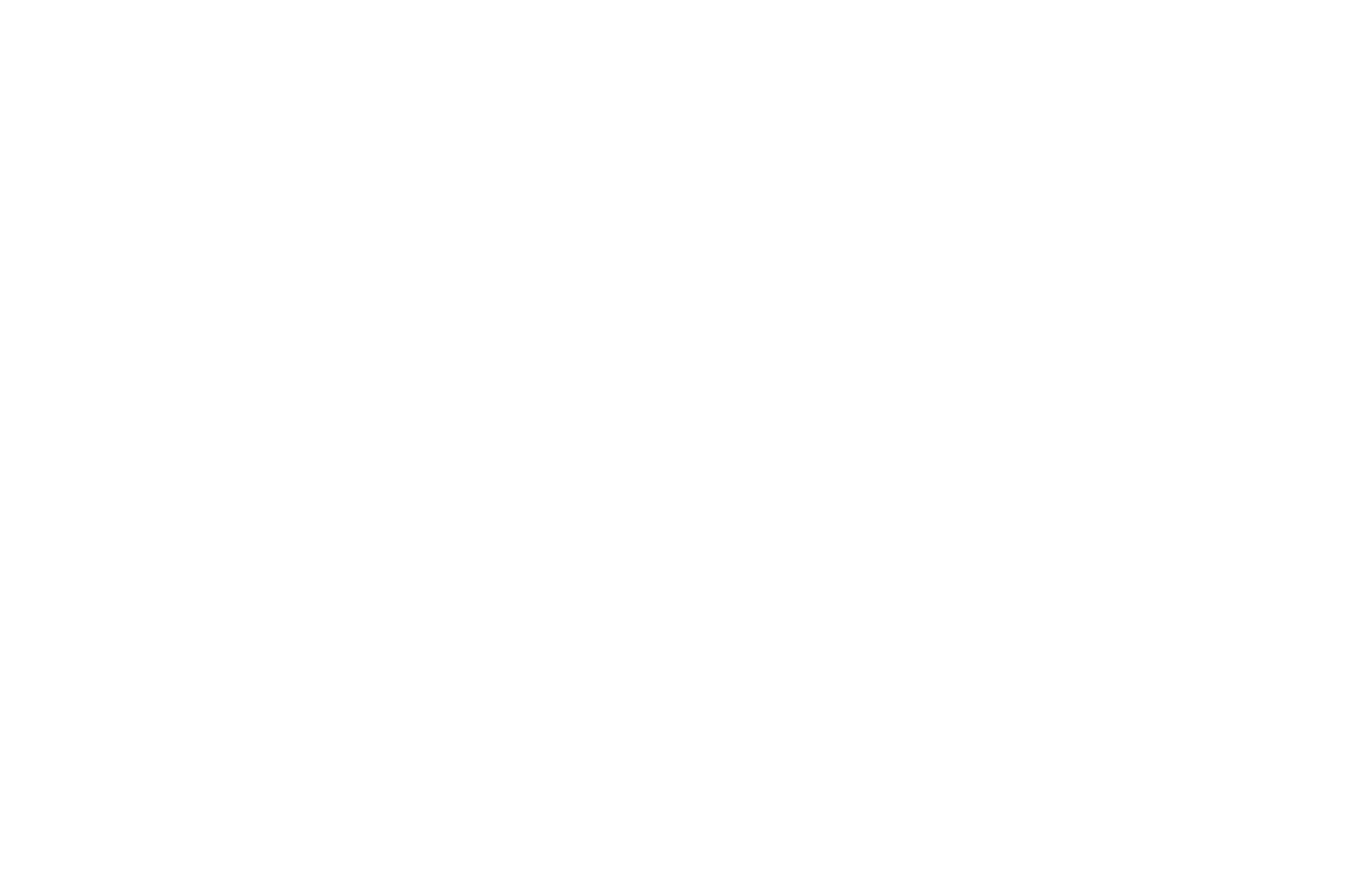 Clebson Ribeiro - logotipo branco fundo transparente